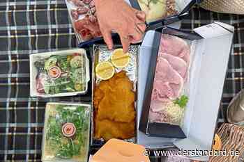 Essen auf Gräsern: Ist Picknicken wirklich so romantisch? - DER STANDARD