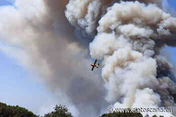 Incendio Massarosa, Taddei (Cia Siena): Solidarietà agli agricoltori colpiti, disponibili ad aiutare chi ha perso anni di lavoro - Cia Toscana