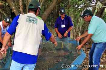 Curso de beneficiamento de peixes será ministrado em Lagoa da Prata; saiba como participar - soumaislagoa.com.br