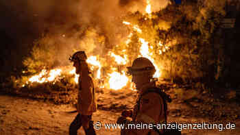 Waldbrände in ganz Europa: Verheerendstes Waldbrand-Jahr in Spanien in diesem Jahrhundert