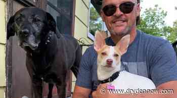 GoFundMe created for Kenora pet owners facing tragedy - DrydenNow.com