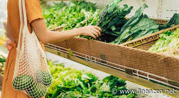 ESG - EZB fördert ab Herbst über Anleihekäufe nachhaltige Unternehmen