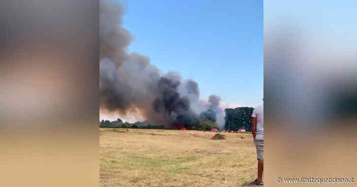 Incendio tra Brianza e Varesotto, le fiamme a Caronno Pertusella: nube nera dai campi – Video