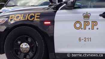 Etobicoke man, 19, accused of stealing vehicle in The Blue Mountains