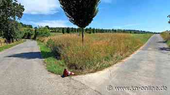 Brandenburger Feuerwehr wird mit Pylonenfoto zum Internethit: Was dahinter steckt