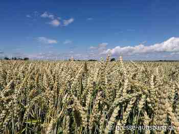 Abkommen für Getreide-Lieferungen aus der Ukraine unterschrieben | Presse Augsburg - Presse Augsburg