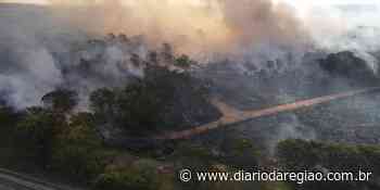 Incêndio de grandes proporções atinge área de vegetação em Catanduva - Diário da Região