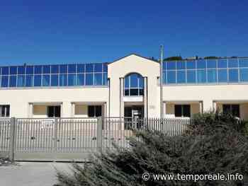 Minturno / Auto danneggiata dopo investimento di un tasso sulla superstrada Formia-Garigliano, utente risarcito - Temporeale Quotidiano