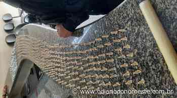 Polícia apreende grande quantidade de droga em Itaperuna - O Diário do Noroeste