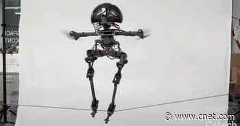 Watch This Hybrid Drone-Robot Slackline and Skateboard Like It's Nothing     - CNET