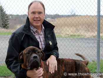 Kingston Humane Society closes its doors this weekend due to COVID outbreak