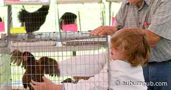 Details of 2022 Cayuga County 4-H Youth Fair announced - The Citizen