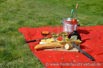 Rückkehrer-Initiative lädt zum Sommerpicknick nach Guben - NIEDERLAUSITZ aktuell