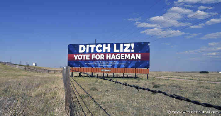 Liz Cheney's Camp Prepares for Painful Primary Loss as She Disappears from Campaign Trail