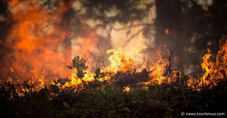 Waldbrände in Griechenland: Was bedeutet das für Touristen?