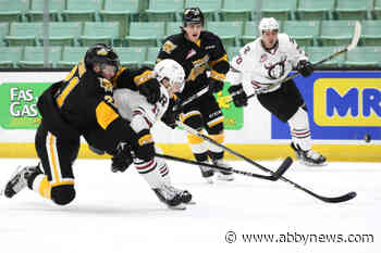 Abbotsford Canucks sign defenceman Chad Nychuk