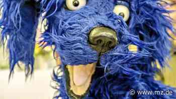 Reihe: Veranstaltung im Augusteum Wittenberg - Luthers Hund Tölpel entdeckt die Heilige Schrift - Mitteldeutsche Zeitung