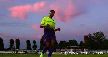 Exeter City treating Torquay United friendly 'as a real game' - Devon Live