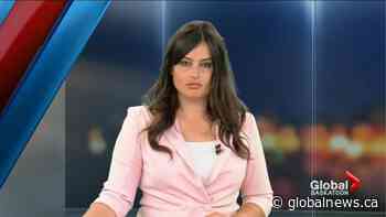 Sask’s final COVID-19 report for July shows BA.5 is dominant strain