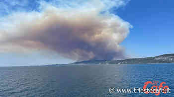 Incendio Lisert: la colonna di fumo cambia direzione causa vento, verso Trieste - triestecafe.it