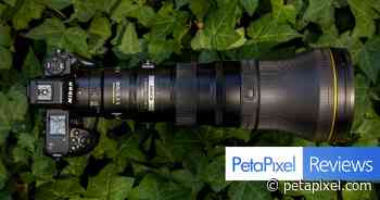 Nikon Z 800mm f/6.3 VR S Review: In a Class of Its Own - PetaPixel