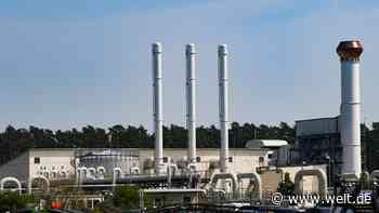 „Können uns nicht darauf verlassen, dass auch im Winter Gas fließen wird“