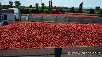 Galleria di Solofra chiusa ai Tir, 100 euro e 60 chilometri in più per ogni viaggio. L’ira dei trasportatori: «Impatto enorme, anche sull’industria in Irpinia» - Orticalab