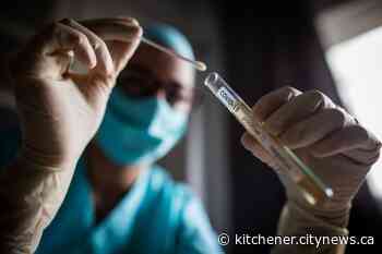 CMH's COVID assessment centre will be closed this weekend - Kitchener.CityNews.ca
