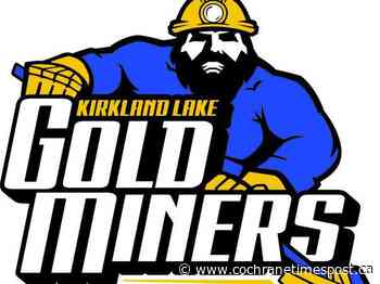 Gold Miners add to the offence - Cochrane Times Post