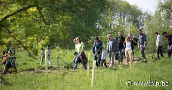 Zomerwandeling in Kluisbergen | Kluisbergen - Het Laatste Nieuws