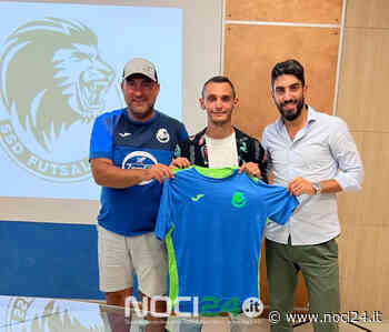 Andrea Lestingi è un nuovo volto del Futsal Noci - NOCI24.it