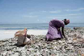 Zanzibar, una donna recupera pezzi di noci di cocco - Rivista Africa