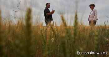 Agriculture ministers reach deal on new Sustainable Canadian Agricultural Partnership
