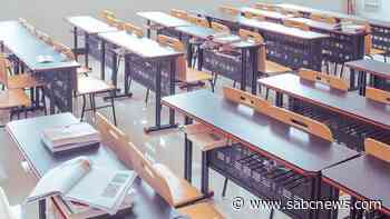 Teachers, learners at Kimberley school concerned about escalating gang violence - SABC News