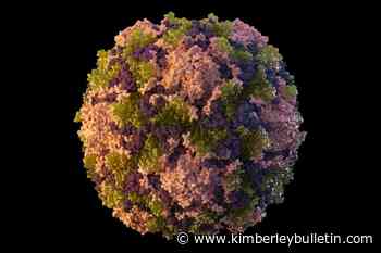 New York reports 1st US polio case in nearly a decade - Kimberley Bulletin