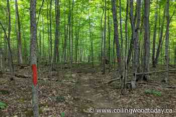 County funds available for trail creation, expansion - CollingwoodToday.ca