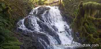 Take a Summer Hike or Trail Run to Mima Falls - southsoundtalk.com