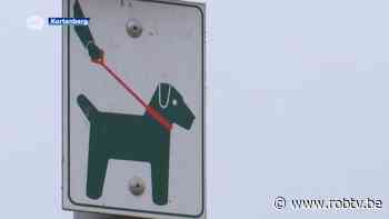 Kortenberg wil bijtincidenten in de toekomst koste wat kost vermijden: "Eigenaar geeft aan beide honden weg te doen en er geen meer te houden" - ROB-tv