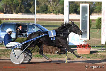 Le parole di Marco Smorgon su Doyourbest in vista del Prix Cravoisier di Enghien – Equos - Equos