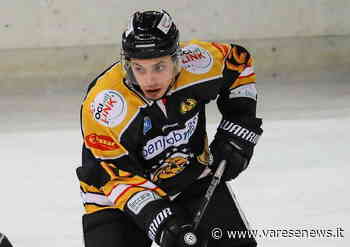 Talento e velocità per i Mastini: Marco Franchini torna a Varese - varesenews.it