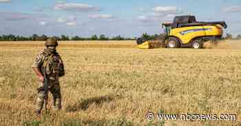 Russia agrees to let Ukraine export grain in U.N. bid to alleviate global food crisis