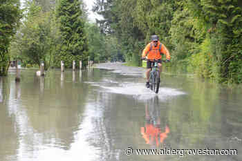 Evacuation alert rescinded in North Langley as Fraser River peaks, recedes – Aldergrove Star - Aldergrove Star