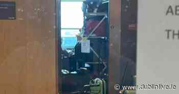 American flies to Dublin Airport to search for luggage missing for a month - Dublin Live