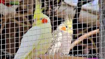 Wirtschaft: Calbe: Viele Spenden für Tiere auf dem Wartenberg - Volksstimme