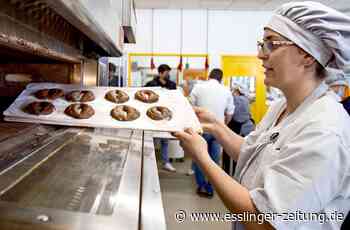 Vor Kretschmanns Gasgipfel: Handwerk fordert Planungssicherheit vor einer Gasnotlage - esslinger-zeitung.de