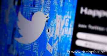 Twitter mit Umsatzrückgang und hohem Verlust - Wirtschaft - Rheinpfalz.de