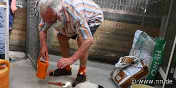 Er konnte nicht mehr fliegen: 87-Jähriger rettet geschwächten Storch in Erlangen - NN.de