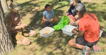 Regina kids gather at Wascana Park to celebrate, play traditional Indigenous games - Global News