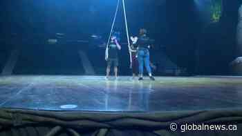 Cirque du Soleil’s OVO comes to Regina - Global News
