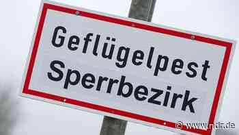 Geflügelpest: Landkreis Cuxhaven richtet Sperrzone ein - NDR.de